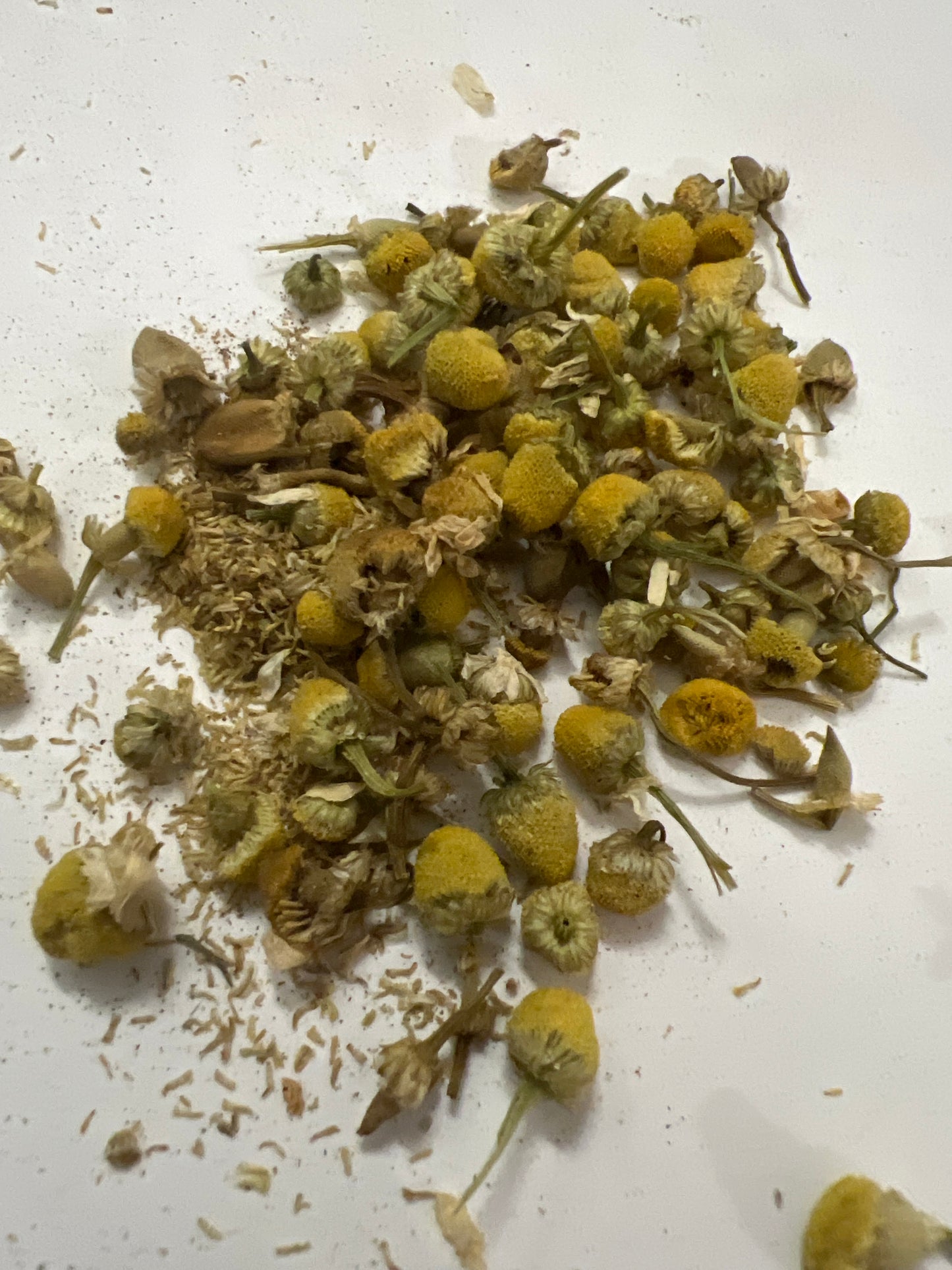 CHAMOMILE FLOWERS