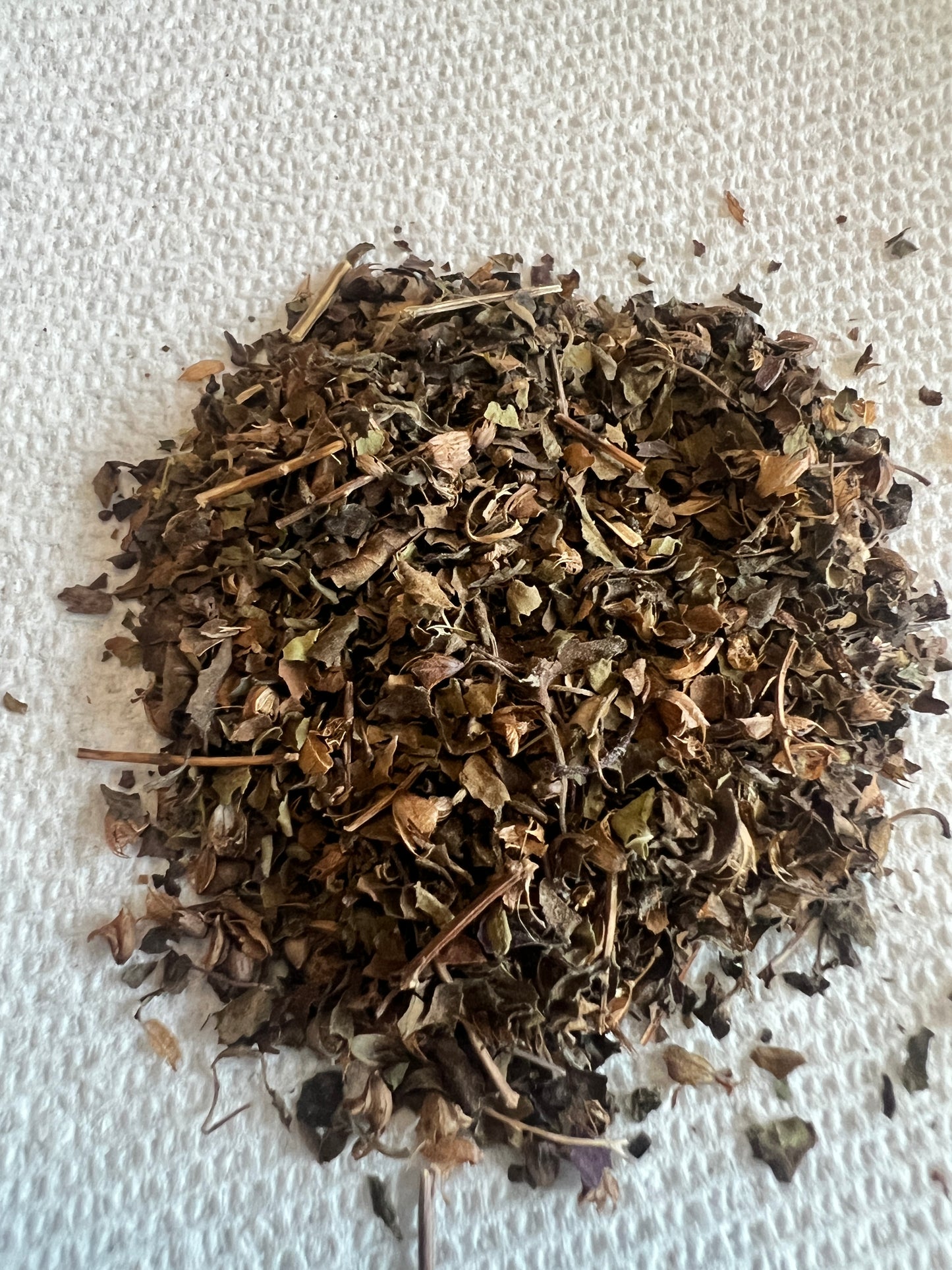 KAPOOR TULSI (Holy Basil)