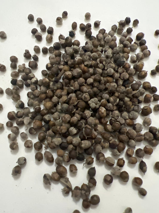 VITEX BERRIES (Chaste Tree)