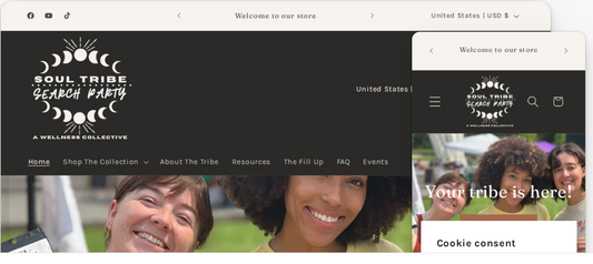 Shopify Website Design